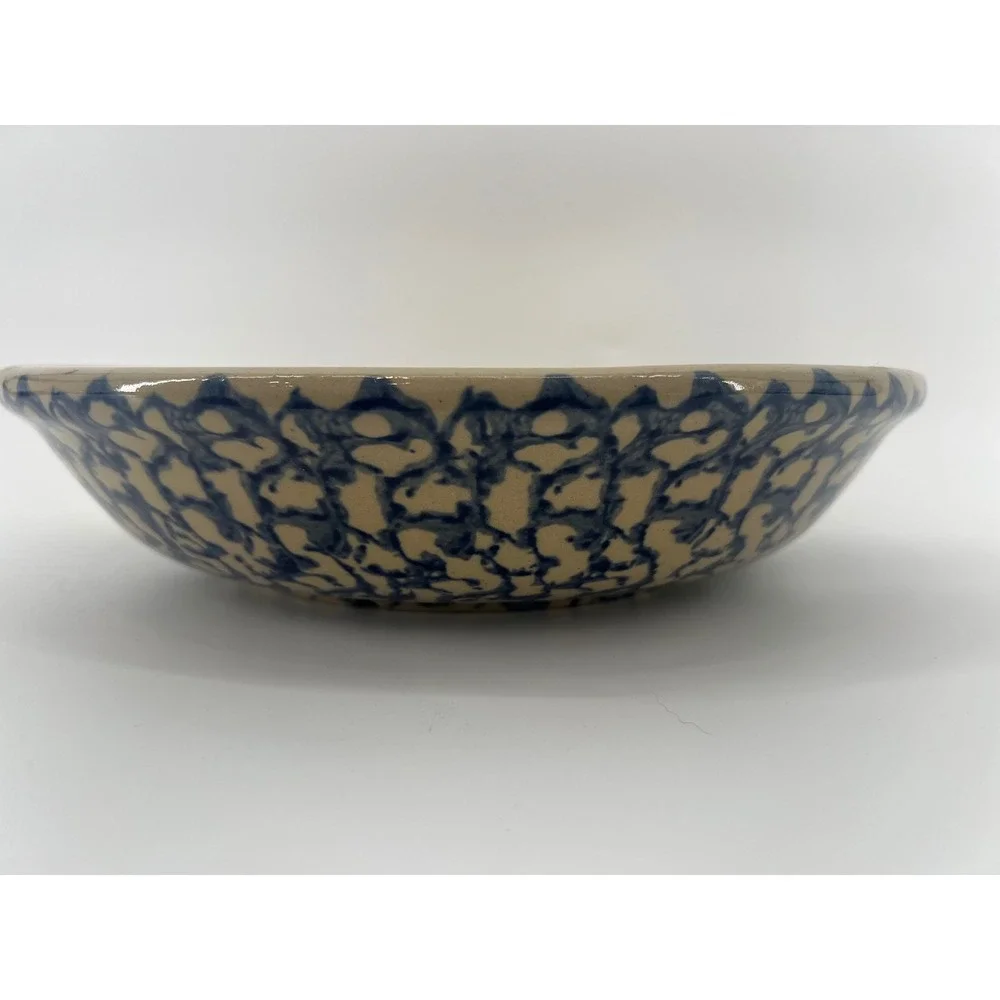 RRP Co Roseville Ohio USA Spongeware Pasta Bowl 12 Inch Blue Tan Stoneware